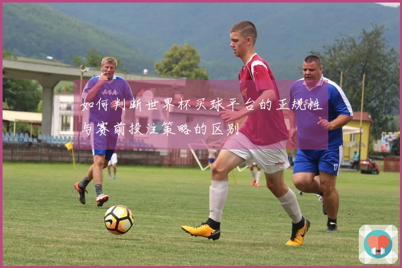如何判断世界杯买球平台的正规性与赛前投注策略的区别
