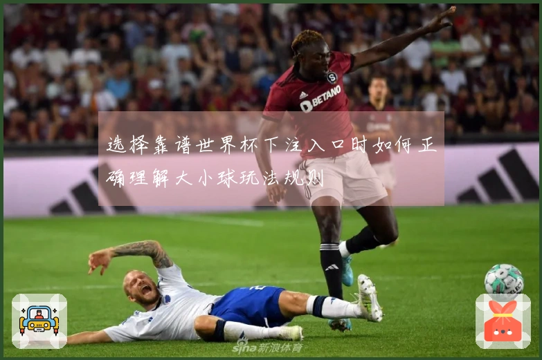 选择靠谱世界杯下注入口时如何正确理解大小球玩法规则