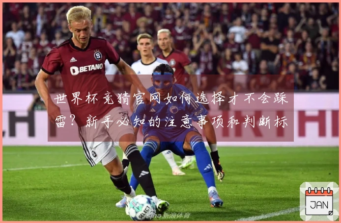 世界杯竞猜官网如何选择才不会踩雷？新手必知的注意事项和判断标准