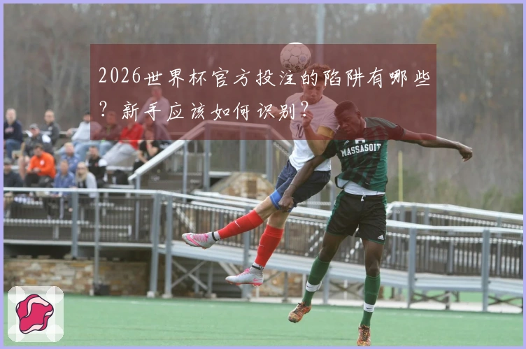 2026世界杯官方投注的陷阱有哪些？新手应该如何识别？